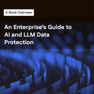 E-Book Overview: An Enterprise’s Guide to AI and LLM Data Protection