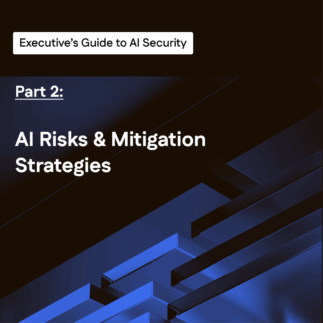 The Executive’s Guide to Secure Data & Impactful AI | Part 2 - Risks in AI systems and mitigation strategies